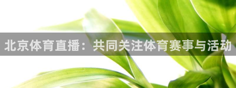 88看球在线直播观看：北京体育直播：共同关注体育赛事与活动