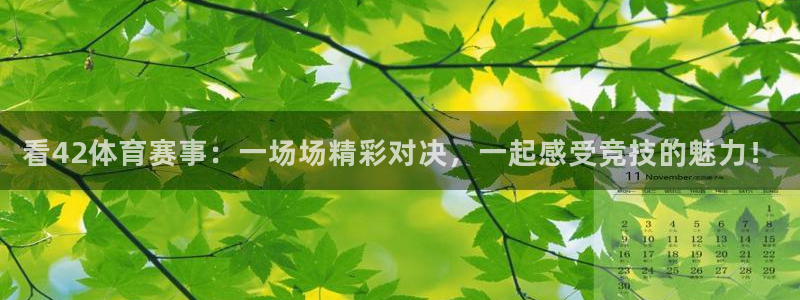 88看球: nba直播_足球篮球免费在线直播：看42体育赛事：一场场精彩对决，一起感受竞技的魅力！