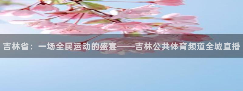 88看球直播nba直播：吉林省：一场全民运动的盛宴——吉林公共体育频道全城直播