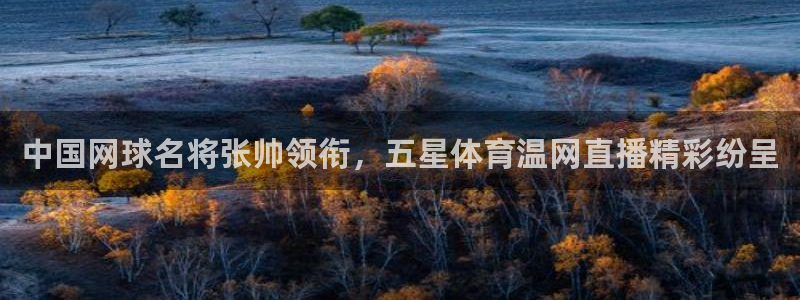88看球直播：中国网球名将张帅领衔，五星体育温网直播精彩纷呈