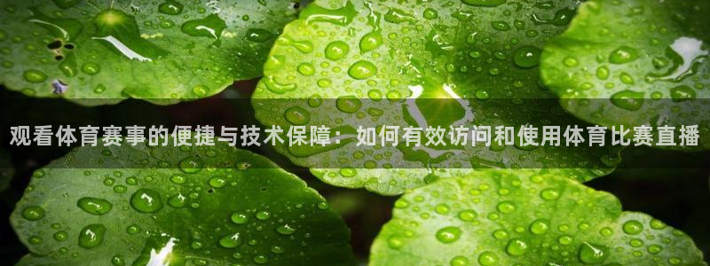 88看球:足球直播_nba线上看_免费体育直播：观看体育赛事的便捷与技术保障：如何有效访问和使用体育比赛直播