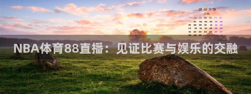 88看球免费直播回放：NBA体育88直播：见证比赛与娱乐的交融