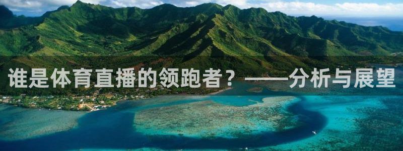 nba直播在线观看88看球官网：谁是体育直播的领跑者？——分析与展望