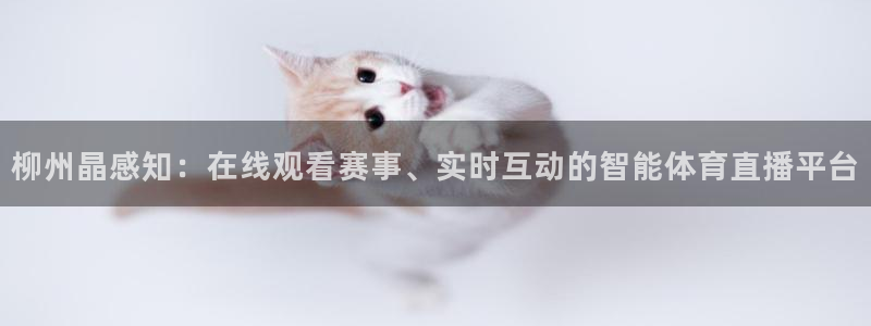 88看球直播吧：柳州晶感知：在线观看赛事、实时互动的智能体育直播平台