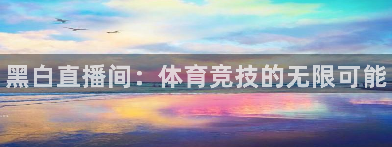 nba直播免费88看球：黑白直播间：体育竞技的无限可能