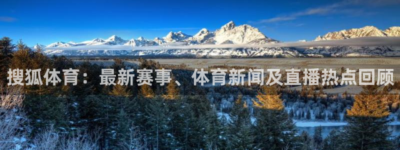 88看球直播(无插件)：搜狐体育：最新赛事、体育新闻及直播热点回顾